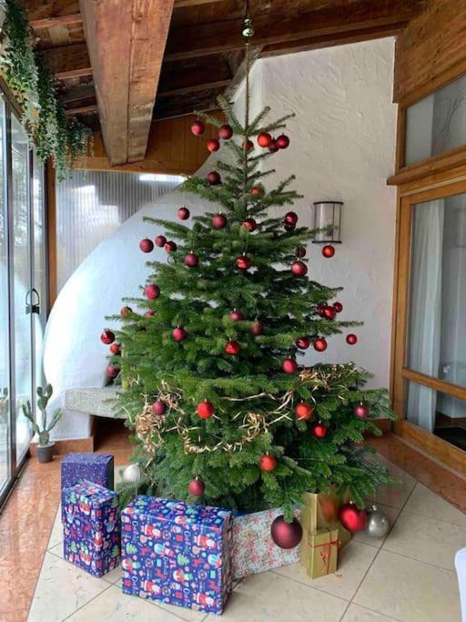 Whole Villa Munich, Alps View, Quiet And Spacious Фелдкирхен-Вестерхам Екстериор снимка